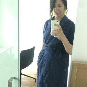 Zara Blue House Dress